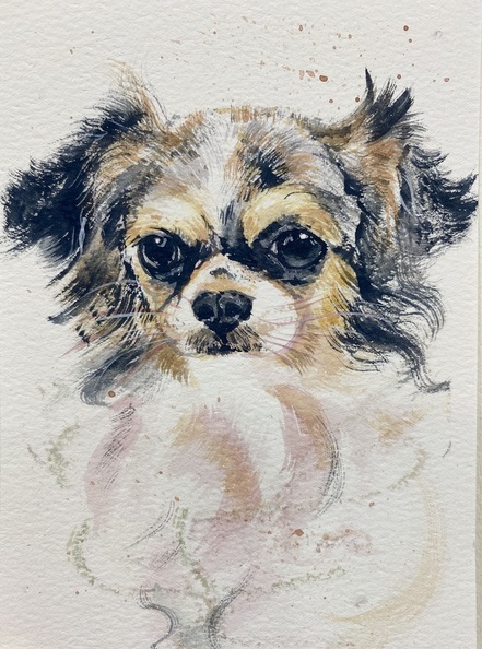 寵物水彩速寫
