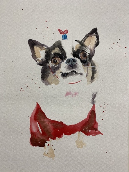 吉娃娃水彩速寫